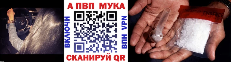дарнет шоп Сланцы А ПВП крисы CK