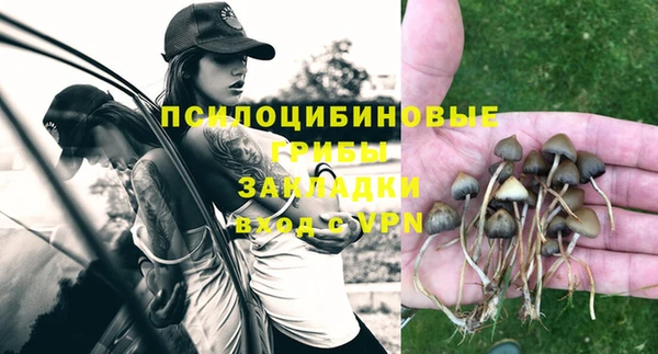 синтетический гашиш Арсеньев