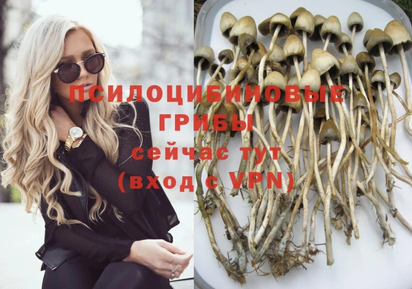 MDMA Premium VHQ Аркадак