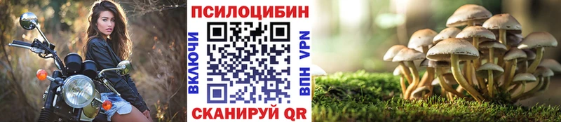 сколько стоит Сланцы Псилоцибиновые грибы MAGIC MUSHROOMS