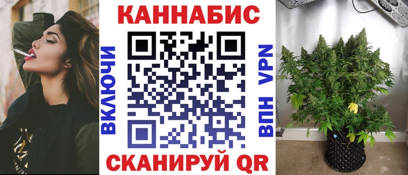Конопля индика Сланцы